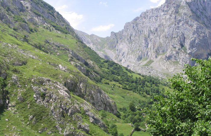 Picos de Europa in Asturias